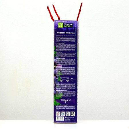 Grape seedlings "Freight gift", 1 pc, spring 2024-2