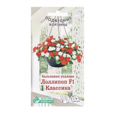 Flower seeds Balzamin Waller Lollipop F1 Classic, 8 pcs