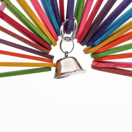 Toy for birds "Fan" with a bell, multi -colored, 25 x 20 cm-1