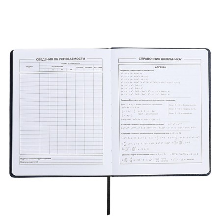 School diary for grades 1-11, "Rage of Katana", hard cover, artificial leather, lies, universal cheat sheets, 48 ​​sheets, block 80g/m2-8