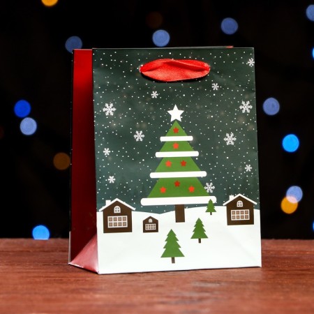 Laminated "Night before Christmas" 11.5 x 14.5 x 6 cm-2