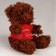 Soft toy in a bag "for the most beloved" mix