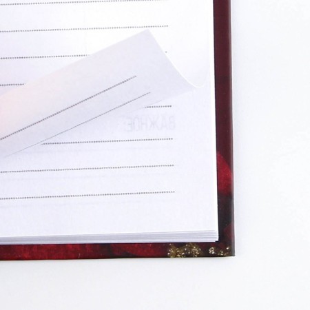 Golden Teacher Gift Set: planing 50 sheets, A5 diary, 80 sheets, a thermostat 350 ml, a handle-4