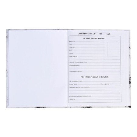 Universal diary for grades 1-11, "light marble", solid cover 7BC, glossy lamination, 40 sheets-4