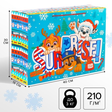 Gift package "New Year" 40x30x15 cm, puppy patrol