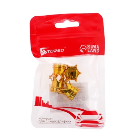 Cap on the valve, Torso, crown, set 4 pcs-1