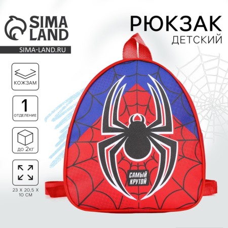 Baby backpack for the boy "Spider", district. 23x20.5 cm-5