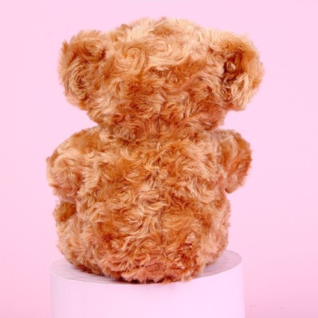 Soft toy "Baby, you are just space", a bear-3