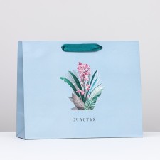Gift package 