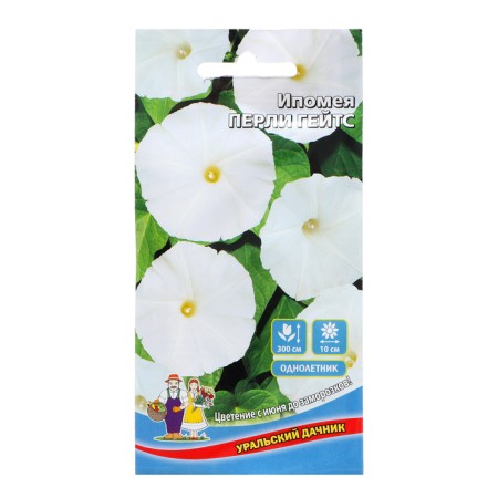 Flowers of the Ipomeus "Perli Gates", 10 pcs,