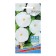 Flowers of the Ipomeus "Perli Gates", 10 pcs,