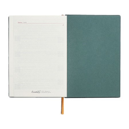 Dated 2025 diary, A5, 176 sheets of Escalada, solid cover of artificial leather, foil embossing, liesse, cream block 70 g/m2, green-14