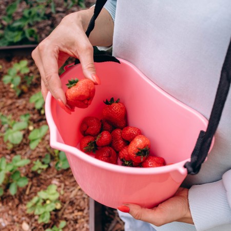 Berry collection container, 3 l, pink-11