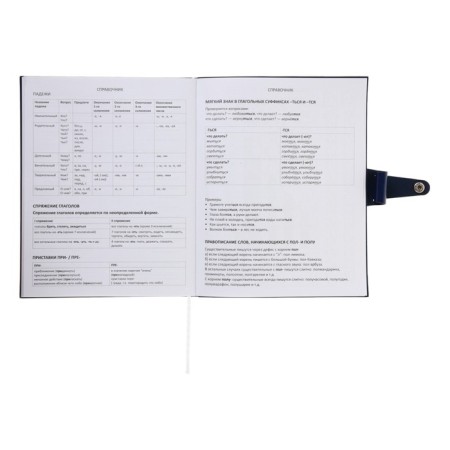 Universal diary for grade 1-11 Favorite, soft cover, button, artificial leather, foil embossing, refrain, lies, 48 ​​sheets-22