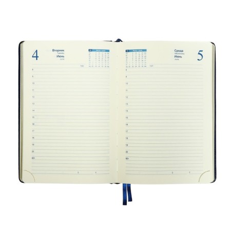 Dated diary 2024, A5, 168 sheets in the ruler, the leatherette "Nebraska", gold cut, blue-6