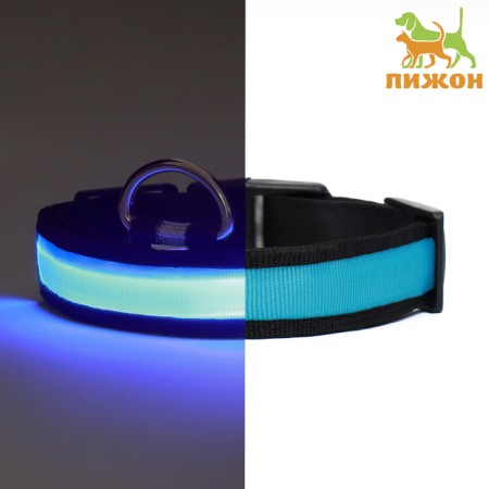 Collar with flash light 3 lumber modes Size S, Osh 35-43 x 2.5 cm blue