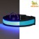 Collar with flash light 3 lumber modes Size S, Osh 35-43 x 2.5 cm blue
