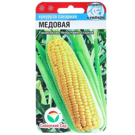 Corn seeds "Honey", 6 pcs.