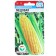 Corn seeds "Honey", 6 pcs.