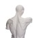 Anatomical gypsum figure: Goidon torso, 12 x 15 x 48 cm