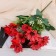 Bouquet "Chamomile Decorative Color" 5x25 cm, mix