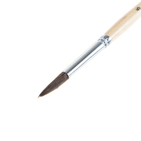Cossack brush, round No. 5, Gamma-1