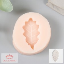 Mold Silicon 