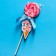 Lollice on the stick "The most beautiful", taste: Raspberry, 15 g.