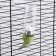 Drill for rodents, 80 ml, fastening-spring, and two interchangeable filters, green
