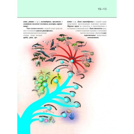 Undersea world. Complete encyclopedia. Schoolboy Yu.K.-13