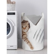Basket for storage of things 