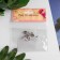 Brads for scrapbooking "Strazinki" set 10 pcs mix 1.4x0.8x0.8 cm