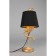 Accumoli E14 40W desktop lamp