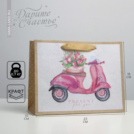Gift Craft horizontal package, packaging, Present for You, MS 23 x 18 x 10 cm