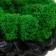 Concrete Kashpo "David" with moss black 11.5x15.5x12 cm (moss green stabilized)