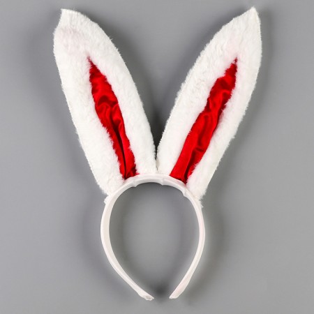 Carnival set My Secret (ears+chocker+dress+bracelets+panties)-3