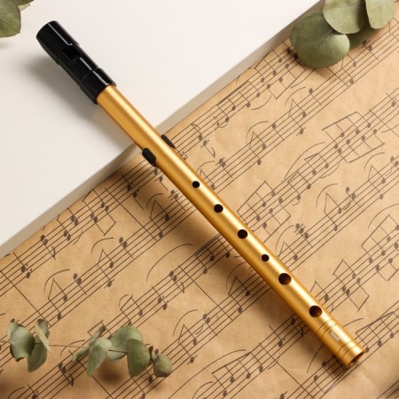 Flute Music Life D Gold, Pro, 30 cm