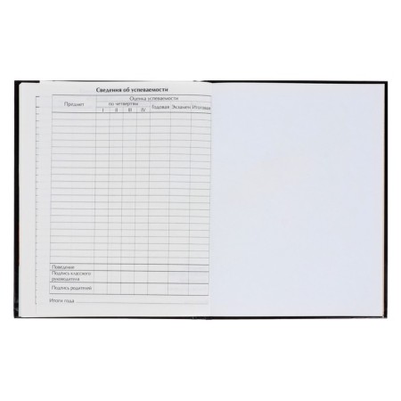 Diary for grades 5-11, Panther, solid cover 7BC, glossy lamination, 48 sheets-7