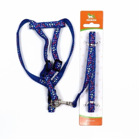 Set "Star Bones", leash 120 x 1 cm, og 23-35 cm, blue-6