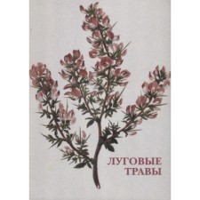 Meadow herbs
