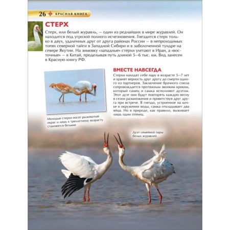 Children's Encyclopedia. Red Book-6