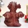 The piggy bank "Dracosha Timosha" 15x11x16cm, red with gold
