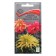 Flower seeds amaranth tricolor "Brazilian carnival", 0.1 g