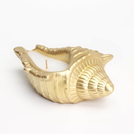 Candle "shell" in the candlestick of gypsum large, 17x11x5.5cm, gold-3