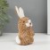 Souvenir "Sweet bunny with carrots" 8x4.7x12.3 cm