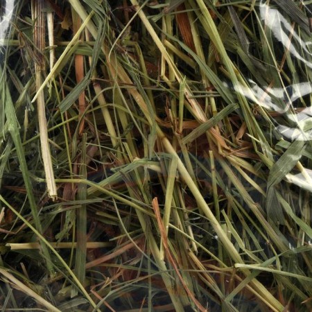 Lugovo's hay "Pigger" for rodents, 20 l, 500 g-2