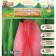 Tulip Darwin Hybrid Trik, rr 12+, 5 pcs, autumn 2024