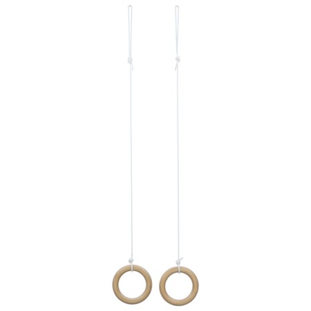 Gymnastic rings-1