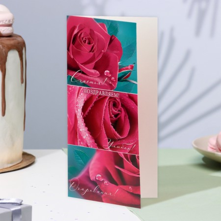 Postcard "Congratulations!" rose, euro, 21.5 x 21.5 cm-3