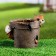 Figure pot "Squirrel in a pot of paw out" 15x14 cm